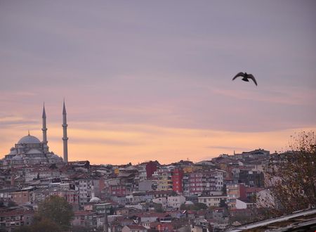turkiye/istanbul/beyoglu/navan-hotel_5ebbc748.jpg
