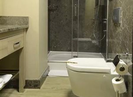 turkiye/istanbul/beyoglu/nidya-hotel-galataport-128989638.png