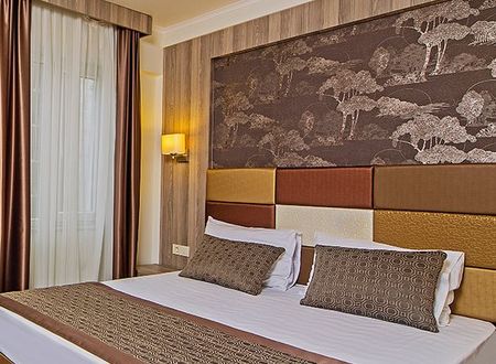 turkiye/istanbul/beyoglu/pera-arya-hotel-1735728.jpg