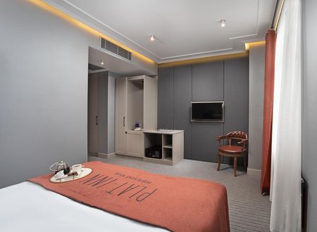 turkiye/istanbul/beyoglu/plat-inn-hotel_1e74e0ec.jpg