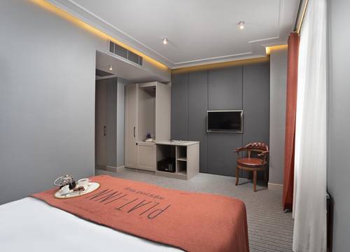 turkiye/istanbul/beyoglu/plat-inn-hotel_1e74e0ec.jpg