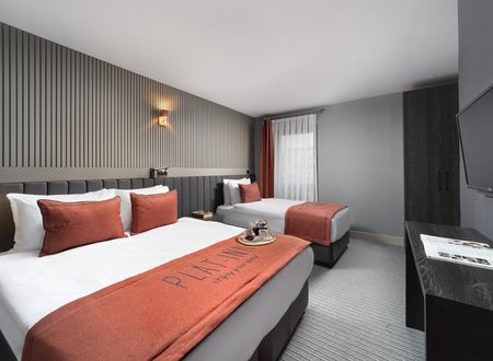 turkiye/istanbul/beyoglu/plat-inn-hotel_af168d67.jpg