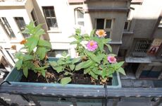 turkiye/istanbul/beyoglu/promise-hotel-apart_001503c2.jpg
