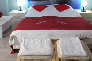 turkiye/istanbul/beyoglu/taksim-antique-suites_9efedb35.jpg