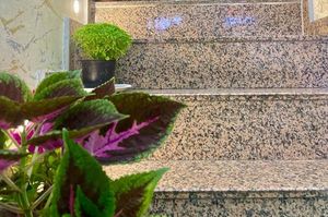 turkiye/istanbul/beyoglu/the-neom-suites_9a1a6e8c.jpg