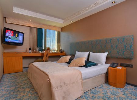 turkiye/istanbul/beyoglu/tulip-by-molton-hotels_653a1a74.jpg
