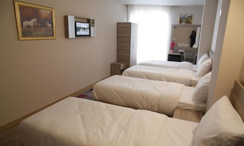 turkiye/istanbul/esenyurt/grand-dedem-hotel-13c48a49.jpg