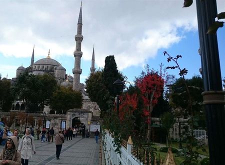 turkiye/istanbul/fatih/aleph-hotel-fba32795.jpg