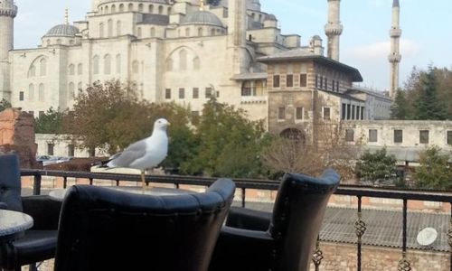 turkiye/istanbul/fatih/arasta-butik-hotel-880394.jpg