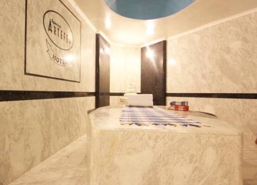 turkiye/istanbul/fatih/artefes-hotel-55516_.jpg