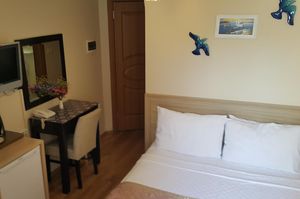turkiye/istanbul/fatih/arven-boutique-hotel_5d07c040.jpg