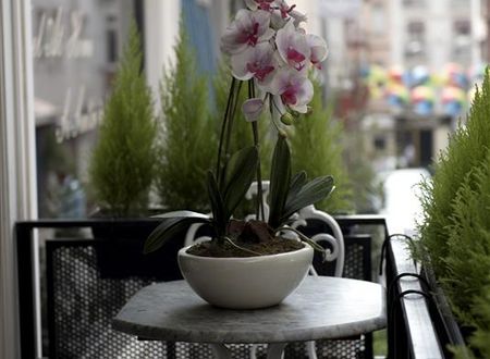 turkiye/istanbul/fatih/b-guest-hotel-9f7235f8.jpg