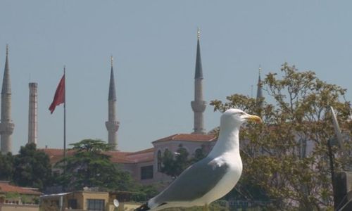 turkiye/istanbul/fatih/best-western-antea-palace-hotel-spa-322273.jpg