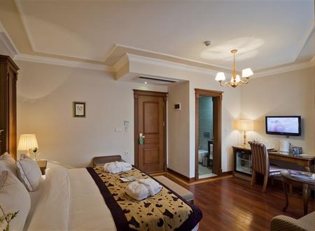 turkiye/istanbul/fatih/best-western-premier-the-home-suites-spa-1552528654.jpg