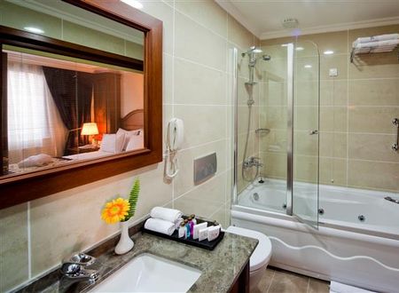 turkiye/istanbul/fatih/best-western-premier-the-home-suites-spa-263603769.tif