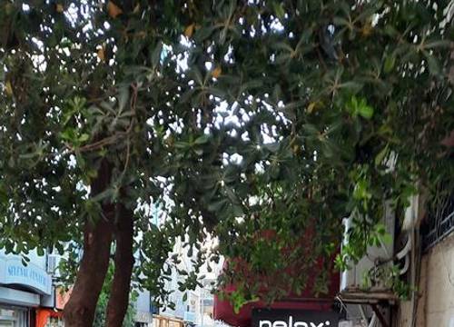 turkiye/istanbul/fatih/beyazit/hotel-dunay_4fef720a.jpg
