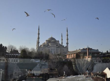 turkiye/istanbul/fatih/blue-tuana-hotel-1034115.jpg