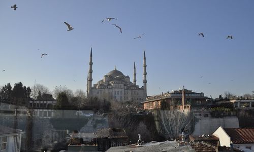 turkiye/istanbul/fatih/blue-tuana-hotel-1034115.jpg