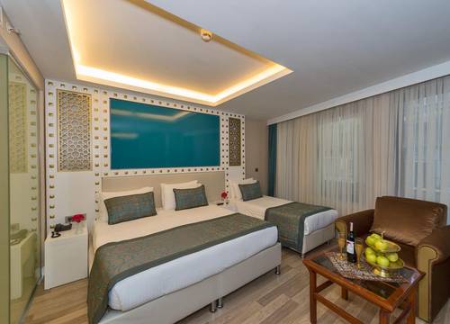 turkiye/istanbul/fatih/great-fortune-hotel-spa_b2d8e307.jpg
