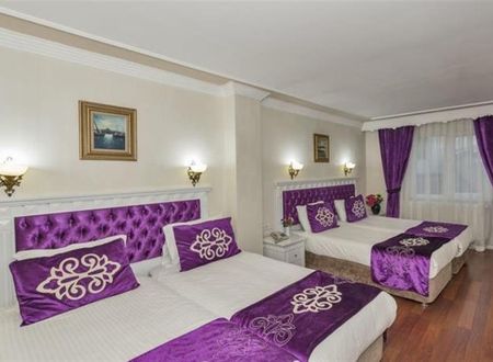 turkiye/istanbul/fatih/istanbul-holiday-hotel-3091-ec7561a5.jpg