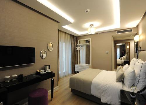 turkiye/istanbul/fatih/le-petit-palace-hotel_5f5a946e.jpg