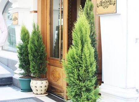 turkiye/istanbul/fatih/my-golden-hotel_1ca4d8fb.jpg