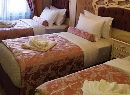 turkiye/istanbul/fatih/nayla-palace-hotel_54c20ea9.jpg