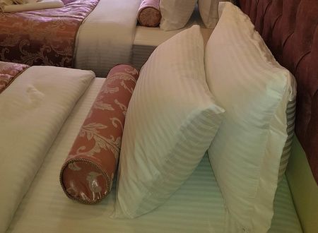 turkiye/istanbul/fatih/nayla-palace-hotel_806bb023.jpg