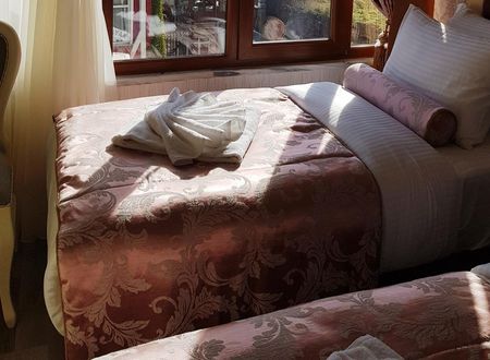 turkiye/istanbul/fatih/nayla-palace-hotel_90e161e9.jpg