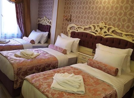 turkiye/istanbul/fatih/nayla-palace-hotel_b16c042d.jpg