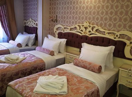 turkiye/istanbul/fatih/nayla-palace-hotel_f0c45eae.jpg