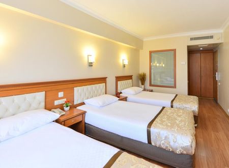 turkiye/istanbul/fatih/prestige-hotel-istanbul_0295d1ed.jpg