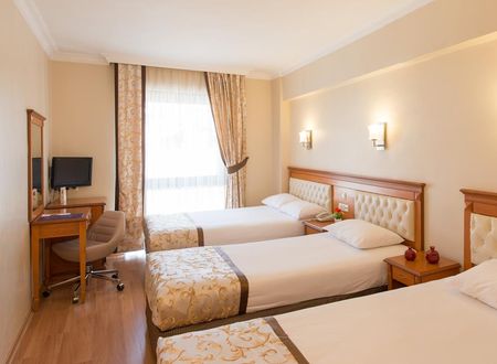 turkiye/istanbul/fatih/prestige-hotel-istanbul_4481f7cf.jpg