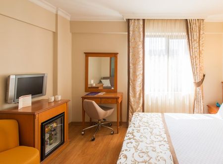 turkiye/istanbul/fatih/prestige-hotel-istanbul_8b969445.jpg