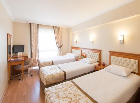 turkiye/istanbul/fatih/prestige-hotel-istanbul_e53a2614.jpg