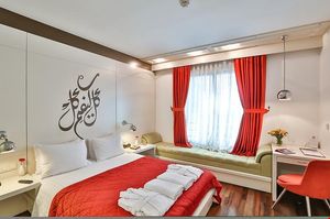 turkiye/istanbul/fatih/senatus-hotel_4bef39de.jpg