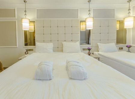 turkiye/istanbul/fatih/the-constantine-hotel_390e09ee.jpg