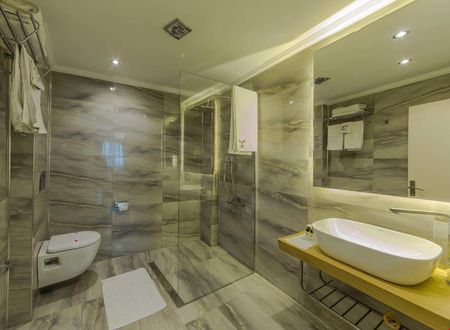 turkiye/istanbul/fatih/the-constantine-hotel_8c5005af.jpg