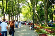 turkiye/istanbul/fatih/the-macan-hostel-11a2cd22.jpg