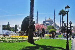 turkiye/istanbul/fatih/the-macan-hostel-3079266c.jpg