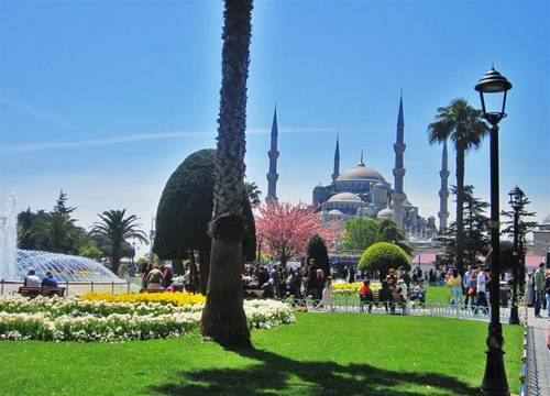 turkiye/istanbul/fatih/the-macan-hostel-3079266c.jpg