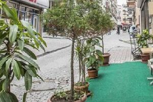 turkiye/istanbul/fatih/the-macan-hostel_dba22655.jpg