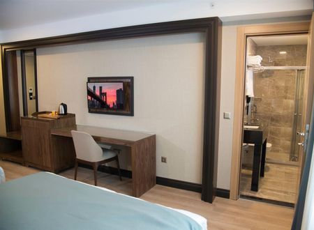 turkiye/istanbul/fatih/valens-hotel-downtown-81dcd6d6.jpg