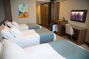 turkiye/istanbul/fatih/valens-hotel-istanbul_215586f2.jpg