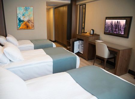 turkiye/istanbul/fatih/valens-hotel-istanbul_215586f2.jpg
