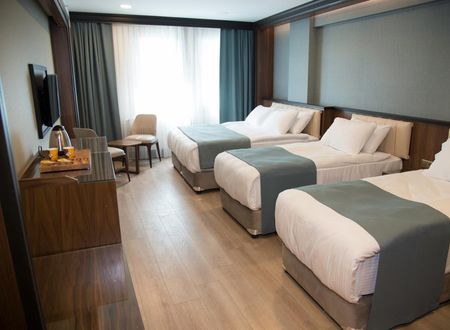 turkiye/istanbul/fatih/valens-hotel-istanbul_85c810f0.jpg