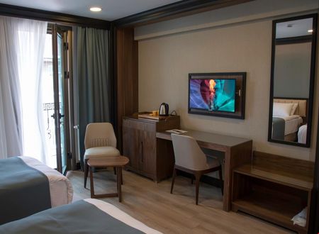turkiye/istanbul/fatih/valens-hotel-istanbul_f13efbb1.jpg