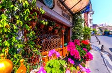 turkiye/istanbul/fatih/walnut-shell-hotel_70aae93f.jpg