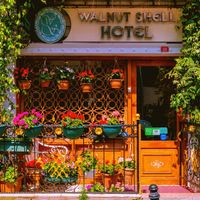 Walnut Shell Hotel