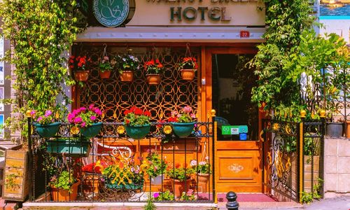 turkiye/istanbul/fatih/walnut-shell-hotel_9d1f2072.jpg